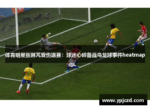 体育明星张琳芃受伤退赛：球迷心碎备战乌龙球事件heatmap